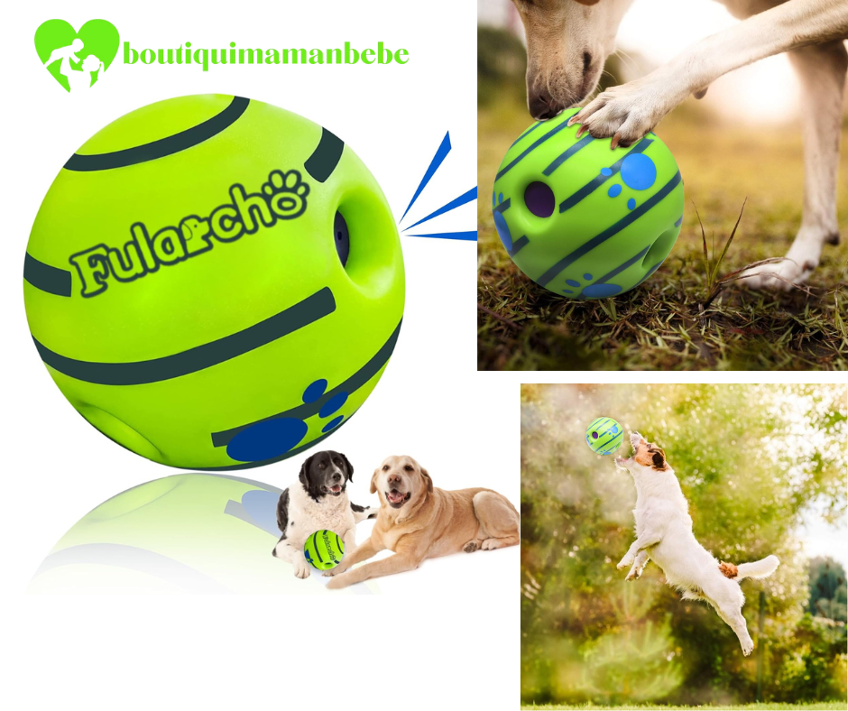 LAISSE POUR CHIEN+ BOLLE JOUET INTERACTIF POUR CHIEN