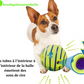 LAISSE POUR CHIEN+ BOLLE JOUET INTERACTIF POUR CHIEN