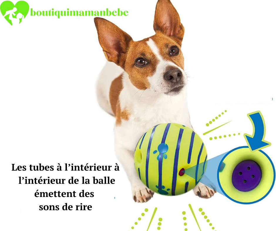 LAISSE POUR CHIEN+ BOLLE JOUET INTERACTIF POUR CHIEN