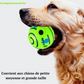 LAISSE POUR CHIEN+ BOLLE JOUET INTERACTIF POUR CHIEN