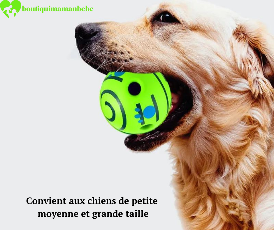 LAISSE POUR CHIEN+ BOLLE JOUET INTERACTIF POUR CHIEN