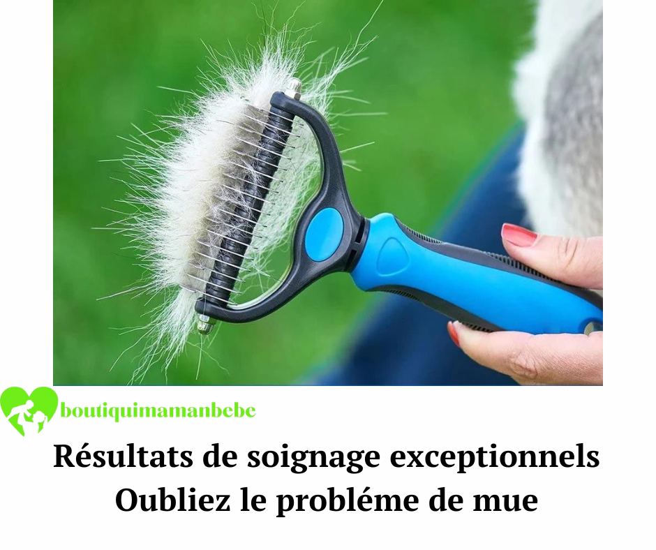 Brosse de toilettage pour animaux de compagnie