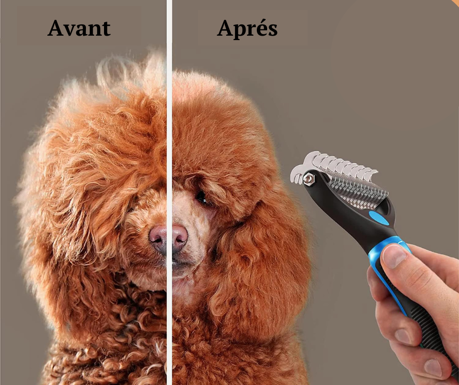 Brosse de toilettage pour animaux de compagnie