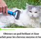 Brosse de toilettage pour animaux de compagnie