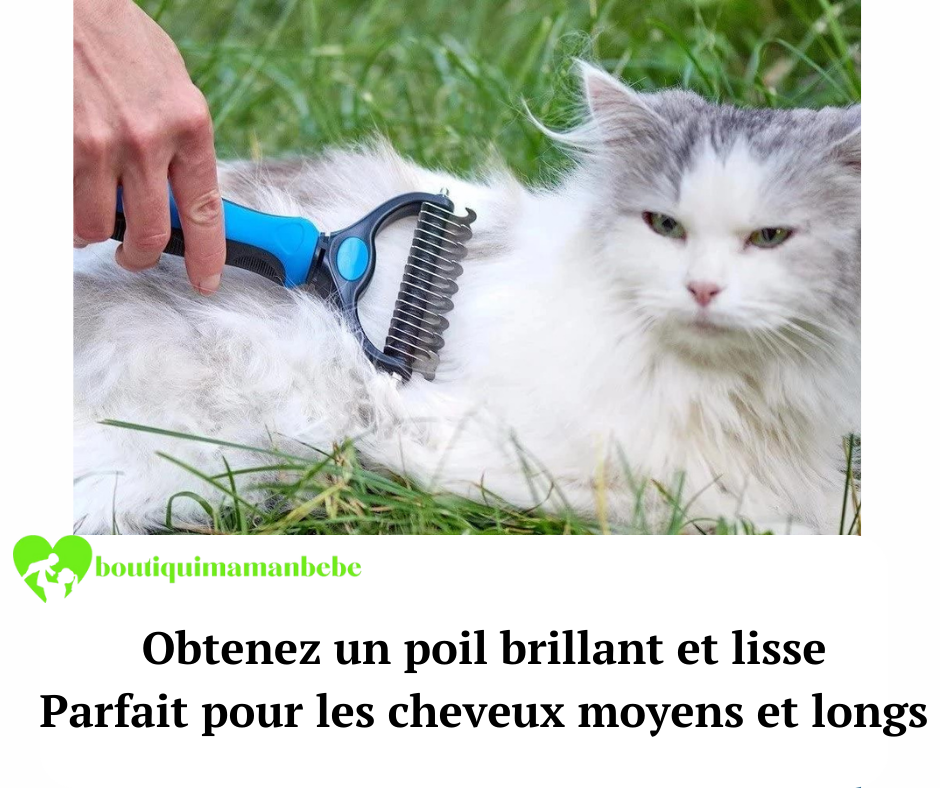 Brosse de toilettage pour animaux de compagnie