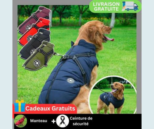 MANTEAU POUR CHIEN + Cadeaux Gratuit+ Ceinture de Sécurité