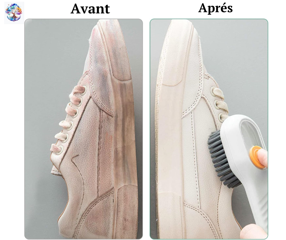 Brosse à Chaussures Avec Distributeur