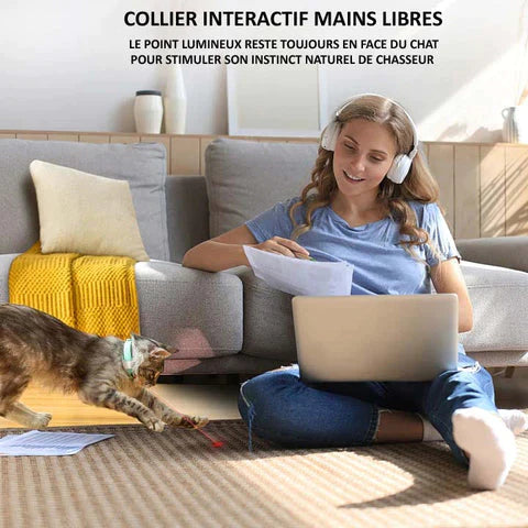 Collier Laser Intelligent Pour Chat