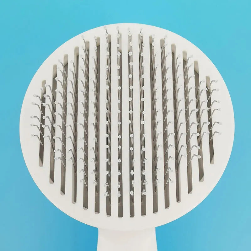 Brosse Pour Chat