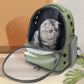 Sac de transport transparent pour chat de compagnie Sac à dos de voyage en plein air pour chats Petits chiens Sac de transport de chat respirant