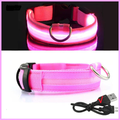 COLLIER DE CHIEN LUMINEUX LED