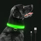 COLLIER DE CHIEN LUMINEUX LED