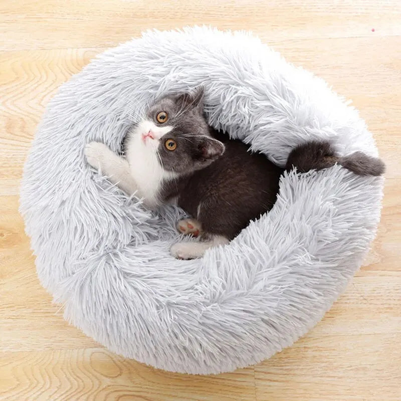 Coussin Pour Chat