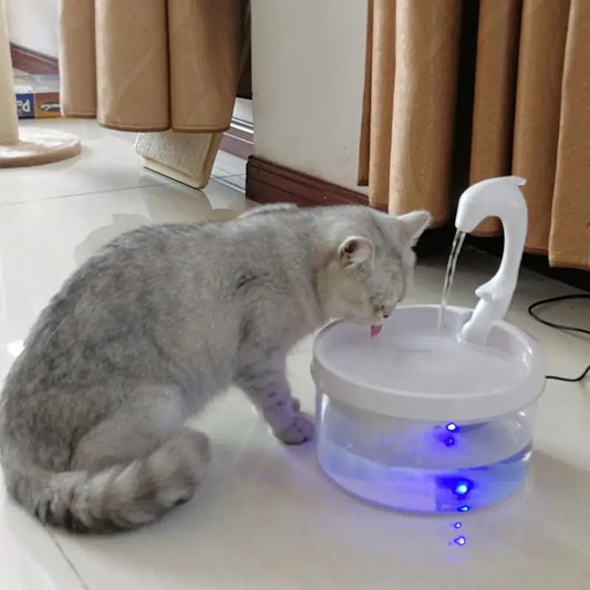 Fontaine à Eau Pour Chat