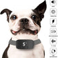 Collier anti-aboiements NED pour chiens,Noir collier de dressage anti-aboiement rechargeable avec 7 vibrations réglables de sensibilité et d'intensité pour les chiens de petite, moyenne et grande taille