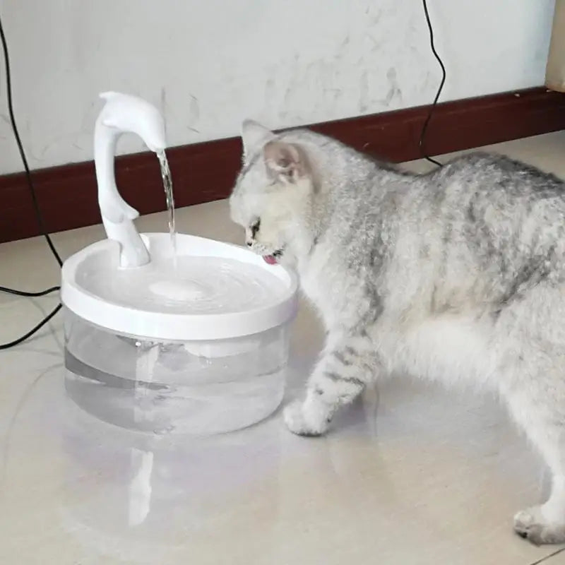 Fontaine à Eau Pour Chat