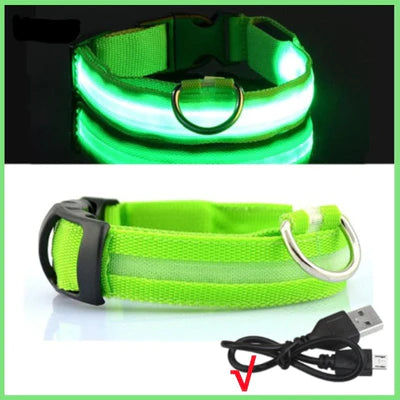 COLLIER DE CHIEN LUMINEUX LED