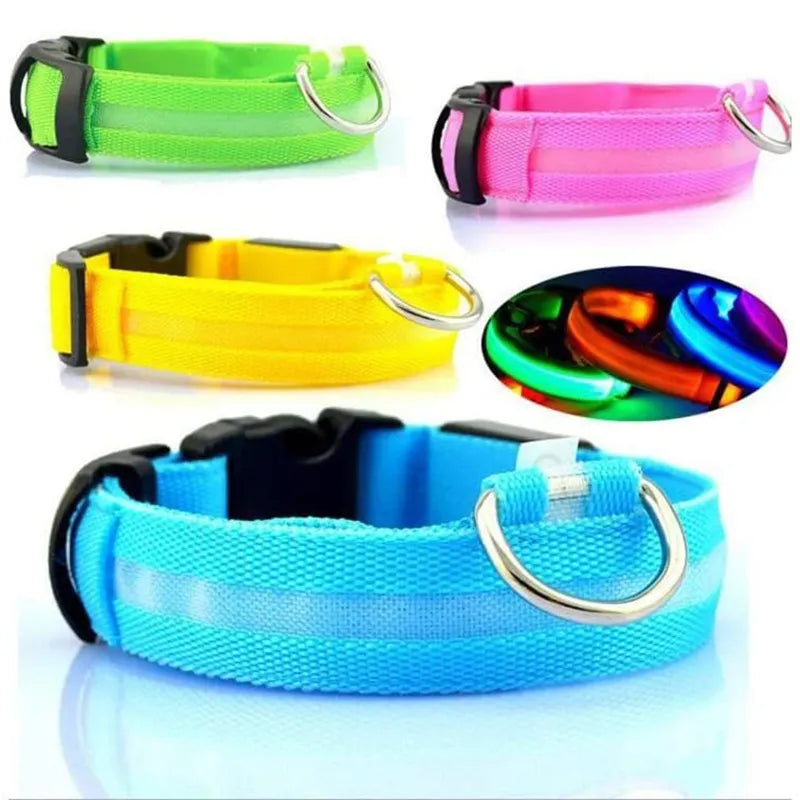 COLLIER DE CHIEN LUMINEUX LED