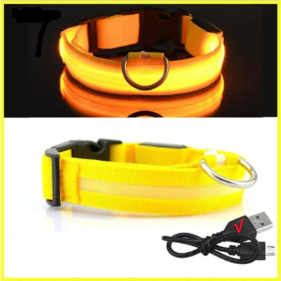 COLLIER DE CHIEN LUMINEUX LED