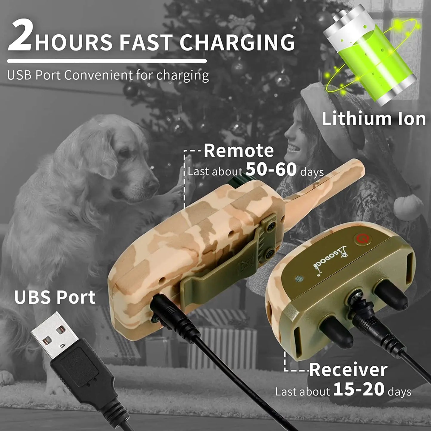 Collier d'entraînement électrique pour chien télécommande Rechargeable collier Anti-aboiement ABQP 2 Vert