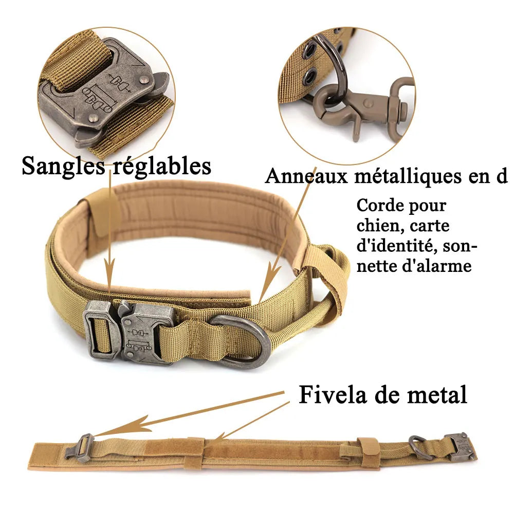 Ensemble de laisse et collier SFP pour chiens moyens et grands, animal de compagnie allemand, contribuables, troupeau malinois, formation, marche, glaDog pas cher