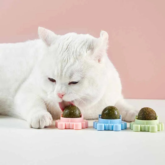 Boule d'Herbe à Chat Rotative - Nettoyage de la dentition