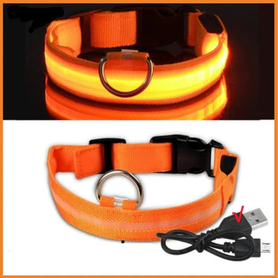 COLLIER DE CHIEN LUMINEUX LED