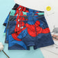 Sous-vêtements Spiderman pour enfants