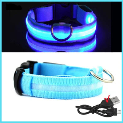 COLLIER DE CHIEN LUMINEUX LED