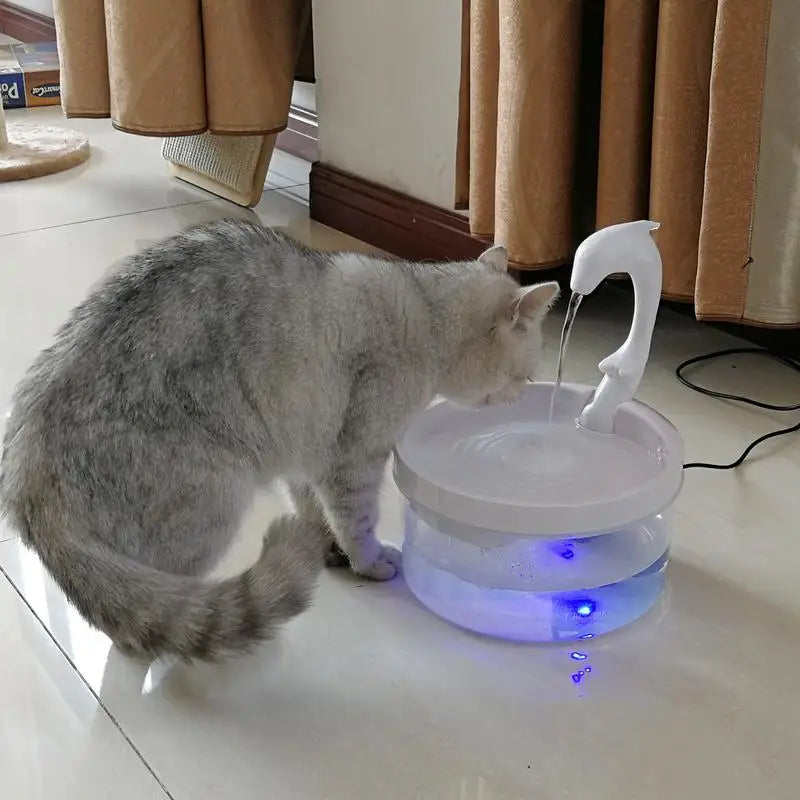 Fontaine à Eau Pour Chat