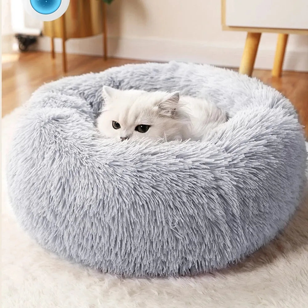 Coussin Pour Chat