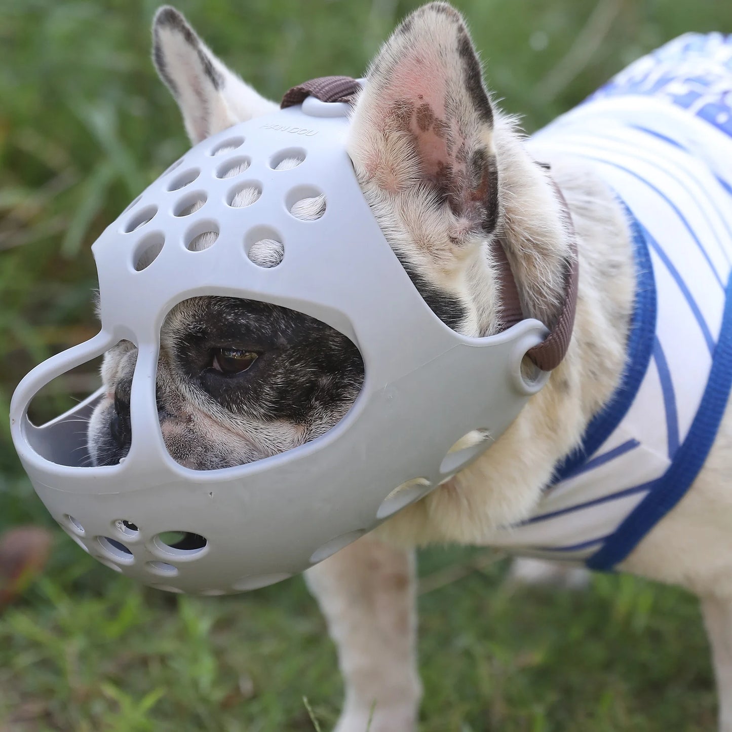 Muselière pour chiens à museau court, trous respirants, prévention des morsures