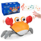 crabe-musical-rampant-usb