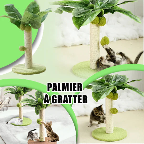 griffoir-chat-vert-pas-cher-palme-30-cm-cadeaux