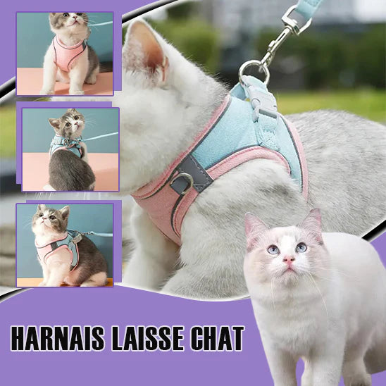 harnais-pour-chat-rose-pas-cher