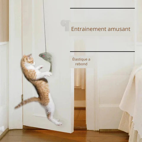 joue-pour-chat-souris-interactif-pas-cher