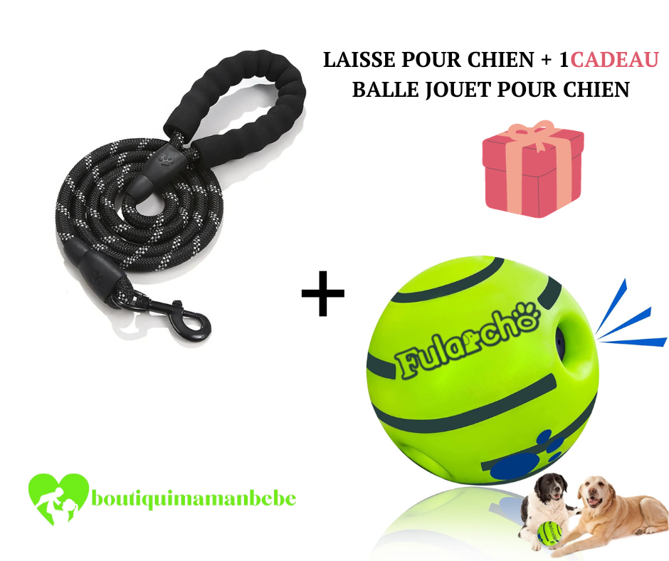 laisse-pour-chien-noir-qualite