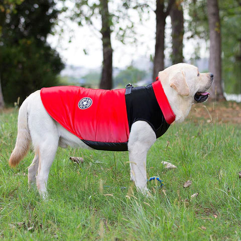 manteau-harnais-chien-rouge-practique