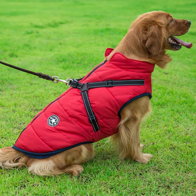 manteau-pour-chien-cadeaux-gratuit-ceinture-de-securie-rouge