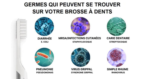 Stérilisateur UV Brosse à Dent