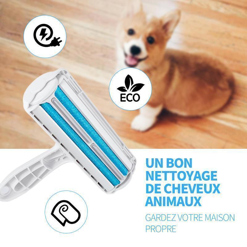 un-bon-nettoyage-de-cheveux-animaux-blue-pour-chein